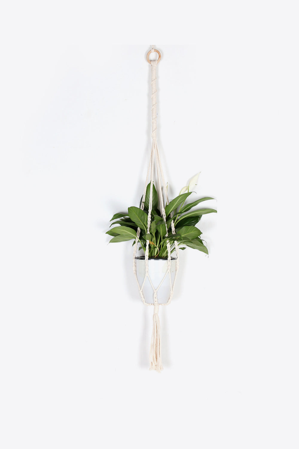 Macrame Basket Wall Hanging